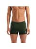Arena Graphic Swim Shorts in Grün
