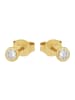 Amor Ohrstecker Gold 375/9 ct in Gold