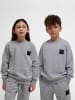Hummel Sweatshirt Hmlclean Lebensstil Kinder in GREY MELANGE