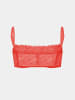 Erlich Textil  DREAMY LACE BANDEAU BRALETTE in wilde orange