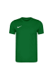 Nike Performance Fußballtrikot Dry Park VII in grün / weiß