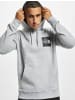 The North Face The North Face Kapuzenpullover in light grey heather
