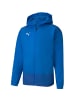 Puma Trainingsjacke/Unterjacke teamGOAL 23 in Blau