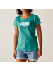 Regatta Funktionsshirt in Türkis