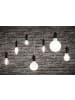 paulmann Filament 230V LED Kerze F