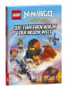 Ameet Buch - LEGO® NINJAGO® - Die tapferen Ninja der neuen Welt