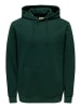 Only&Sons Hoodie 'Ceres' in grün