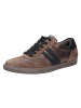 Paul Green Sneaker in braun