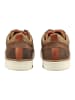 Bullboxer Sneaker in Dunkelbraun