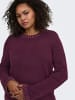 ONLY Carmakoma Strickpullover in Fig 1