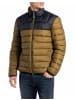 Replay Steppjacke für Herren in grün