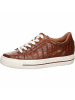 Paul Green Sneaker für Damen in mittel-braun