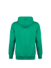 Puma Kapuzenpullover teamGOAL 23 Casuals in grün