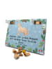Mr. & Mrs. Panda Hund Adventskalender Nova Scotia Duck Moment mi... in Eisblau