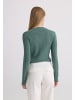 Felix Hardy Pullover in Grün