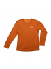 Jack Wolfskin Langarmshirt Longsleeve Shirt Herren New Hollow Range in Grün