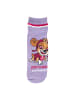 ONOMATO! 7er-Set: Socken SneakerPaw Patrol Skye Cat Pack Power in Mehrfarbig