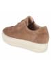 Paul Green Sneaker in braun