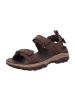 Skechers Trekkingsandalen in Braun