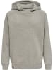 Hummel Hummel Kapuzenpullover Hmlred Multisport Kinder in GREY MELANGE