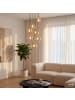 home24 Pendelleuchte DIMO in Messing / Bernstein