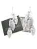 Krebs Glas Lauscha 6er-Set: Baumschmuck-Glasornament in Silber