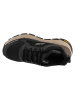Skechers Skechers D'Lux Trekker in Schwarz