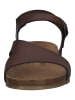 Cosmos Comfort Sandalen in Dunkelbraun