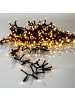 STAR Trading LED Lichterkette Golden Warm White
