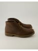 PANAMA JACK Stiefeletten in Braun