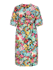 gaya Women Dress in Multicolor