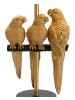Mauro Ferretti Goldene Tischleuchte aus Metall mit Papageienmotiv, Ø 30 x 62,5 cm