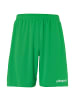 uhlsport  Shorts PERFORMANCE SHORTS in grün/weiß