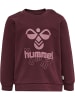 Hummel Sweatshirt Hmlspirit Lebensstil Jungen in WINDSOR WINE