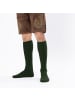 Occulto Lange Trachtensocken Bergdistel in Grün