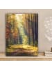 MuchoWow Leinwand Bilder Waldpfad