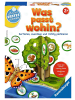 Ravensburger Geschicklichkeitsspiel Was passt wohin? Ab 2 Jahre in bunt