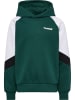 Hummel Kapuzenpullover Raglanärmel Hmljr Loose Kinder in JUNE BUG