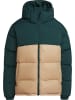 adidas adidas Winterjacken in mineral green/magic beige