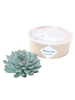 NatureNest Echeveria Pulidonis kompakte Sukkulente