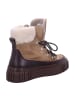 Gant Stiefeletten/Boot in braun