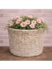 AltoBelli Blumentopf PERUGIA Beige Grau Zement Rund 17x14 cm