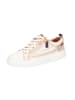Pikolinos Schnürschuhe in beige