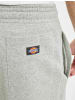 Dickies Dickies Jogginghose in grey melange