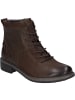 Josef Seibel Stiefelette Selena 50 in braun