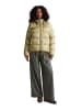 Marc O'Polo DENIM Daunen-Pufferjacke regular in Artichoke Leaf