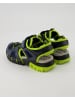 Geox Klettschuhe in Blau