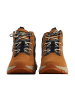 Caterpillar Colorado Sneaker – Hoher Sneaker aus Leder Braun