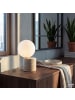 home24 Tischleuchte KAVIO in Beige