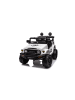 Wisam® Batterieauto Toyota FJ 4x4
